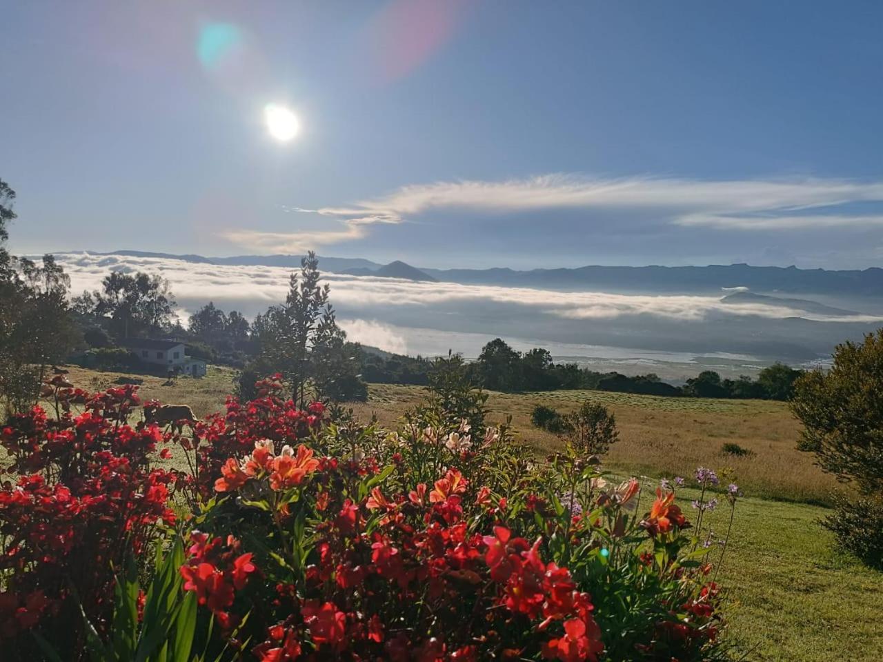 Glamping Hermoso Amanecer Guatavita Εξωτερικό φωτογραφία